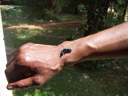 A Proteção que Vem do Vazio