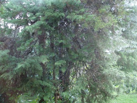 As Águas do Vasto Oceano