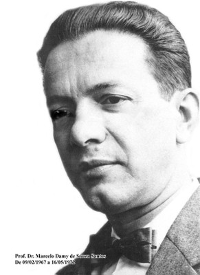 Marcelo Damy de Souza Santos