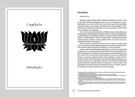 CAPITULO 1 CAPITULO 1