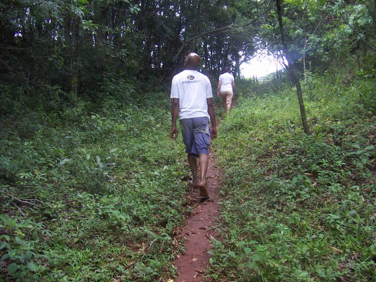 Avatar de Muccamargo Avatar de Muccamargo