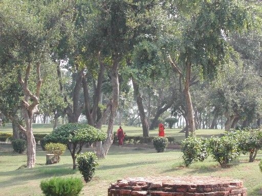 Sravasti_Jetavana Sravasti_Jetavana