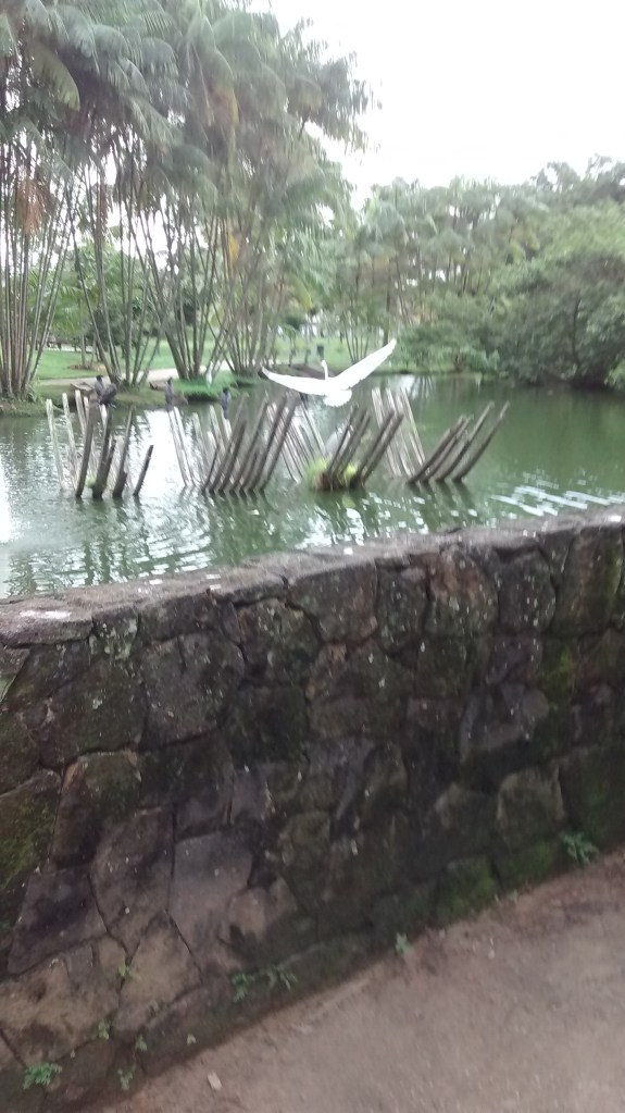 Foto de Marcos Ubirajara no Mangal das Garças em Belém do Pará.